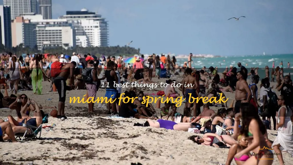things to do in miami for spring break