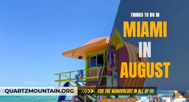 15 Must-Do Activities in Miami for August