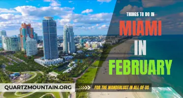 12 Fun Things to Do in Miami in February