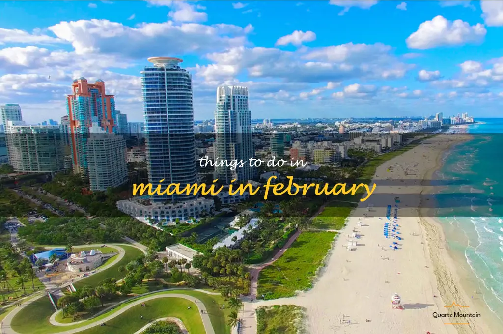 things to do in miami in february