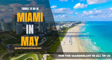 12 Exciting Activities to Experience in Miami During May