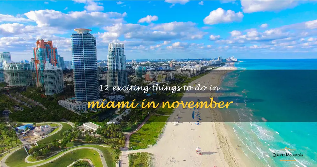things to do in miami in november