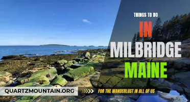12 Fun Activities to Do in Milbridge, Maine