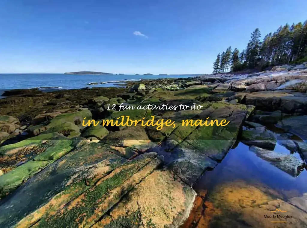 things to do in milbridge maine