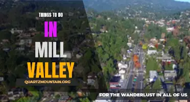 14 Fun Things to Do in Mill Valley, California