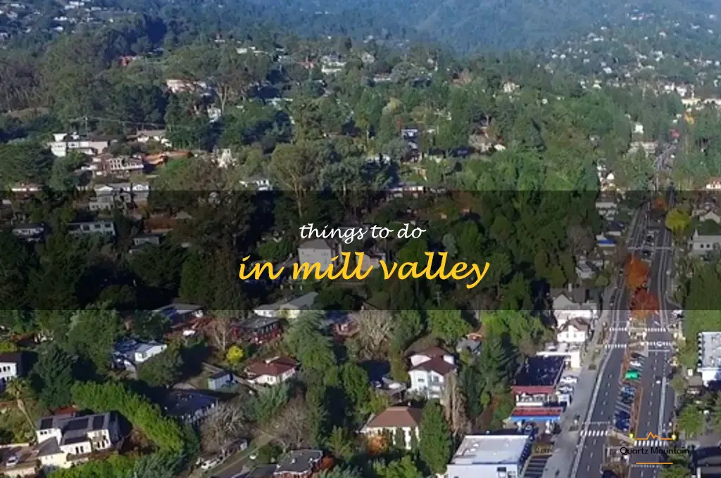 things to do in mill valley