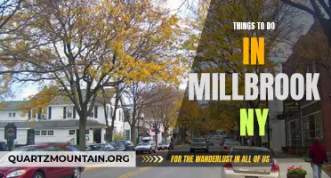 12 Fun Things to Do in Millbrook NY