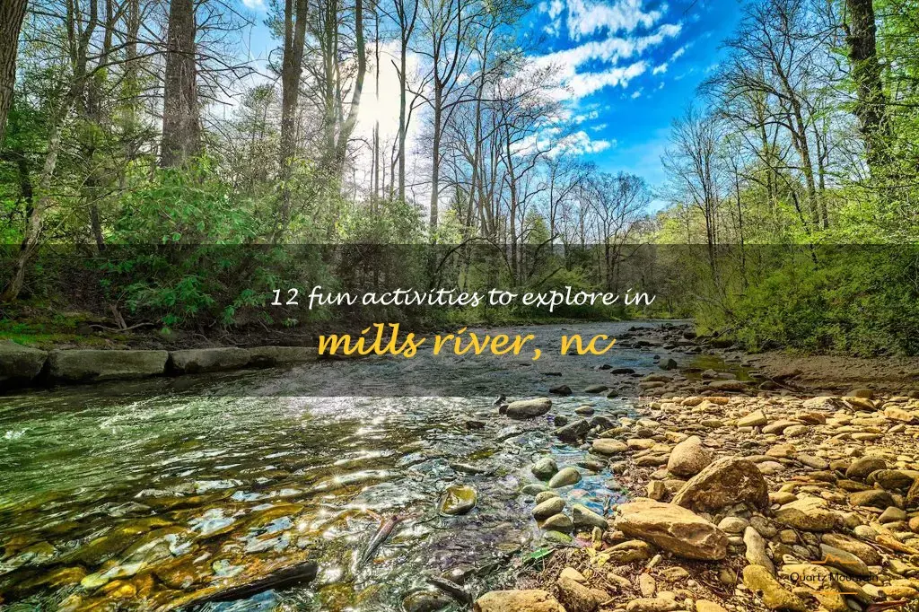 things to do in mills river nc