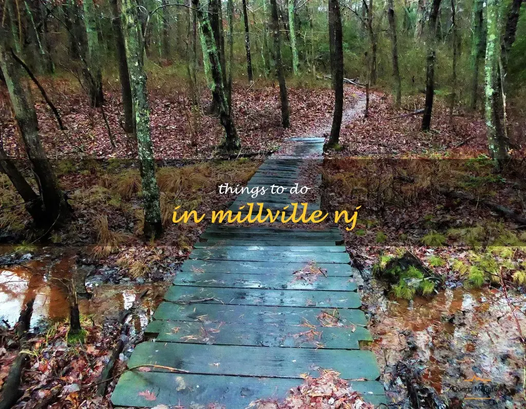 things to do in millville nj