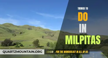 13 Exciting Things to Do in Milpitas That You Don't Want to Miss!