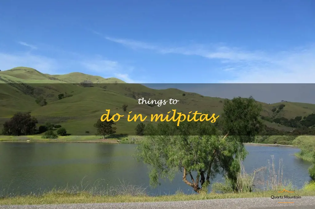 things to do in milpitas