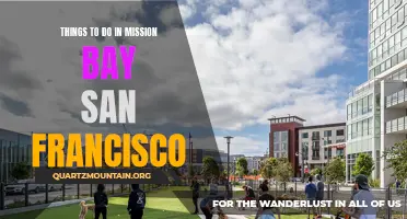 12 Exciting Activities to Enjoy in Mission Bay San Francisco