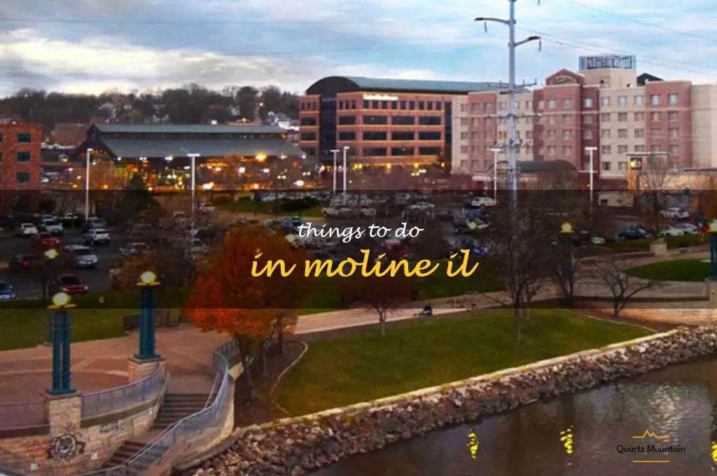 things to do in moline il