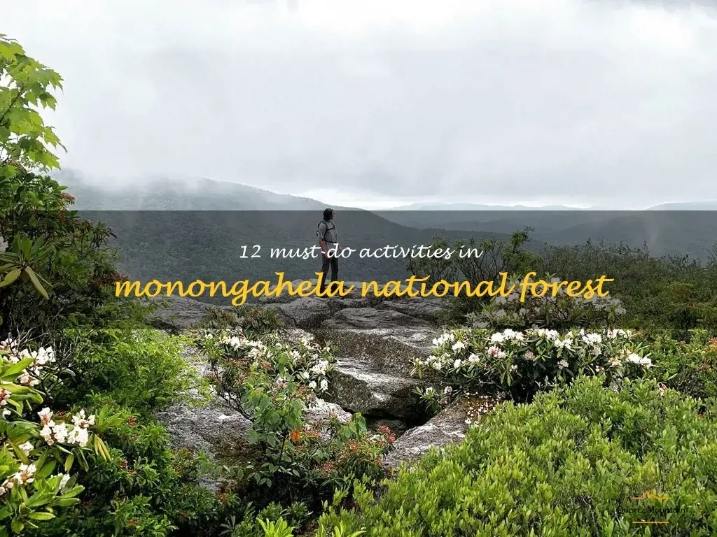 things to do in monongahela national forest