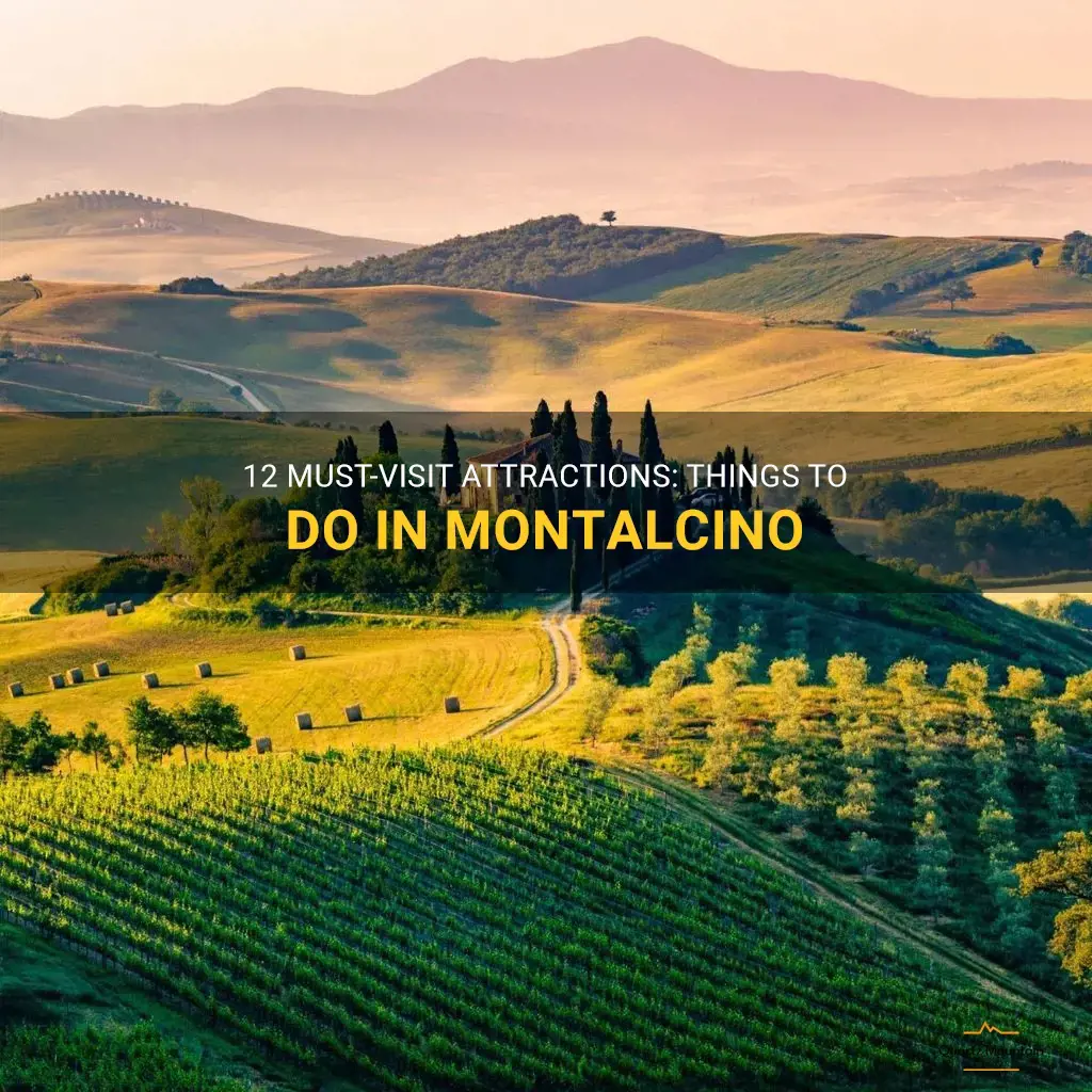 things to do in montalcino