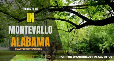 Exploring Montevallo: The Top Attractions and Activities to Enjoy