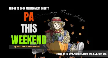 13 Fantastic Activities to Try in Montgomery County, PA This Weekend