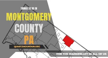 13 Fun Things to Do in Montgomery County, PA