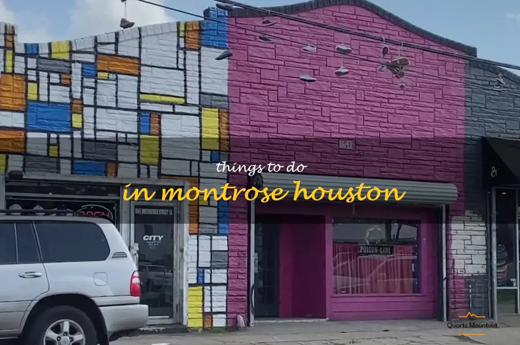 things to do in montrose houston