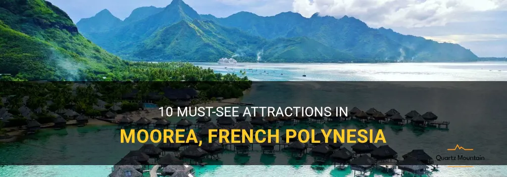 things to do in moorea french polynesia