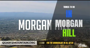 12 Amazing Things to Do in Morgan Hill, California