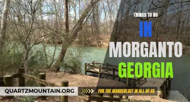 13 Amazing Things to Do in Morganton, Georgia