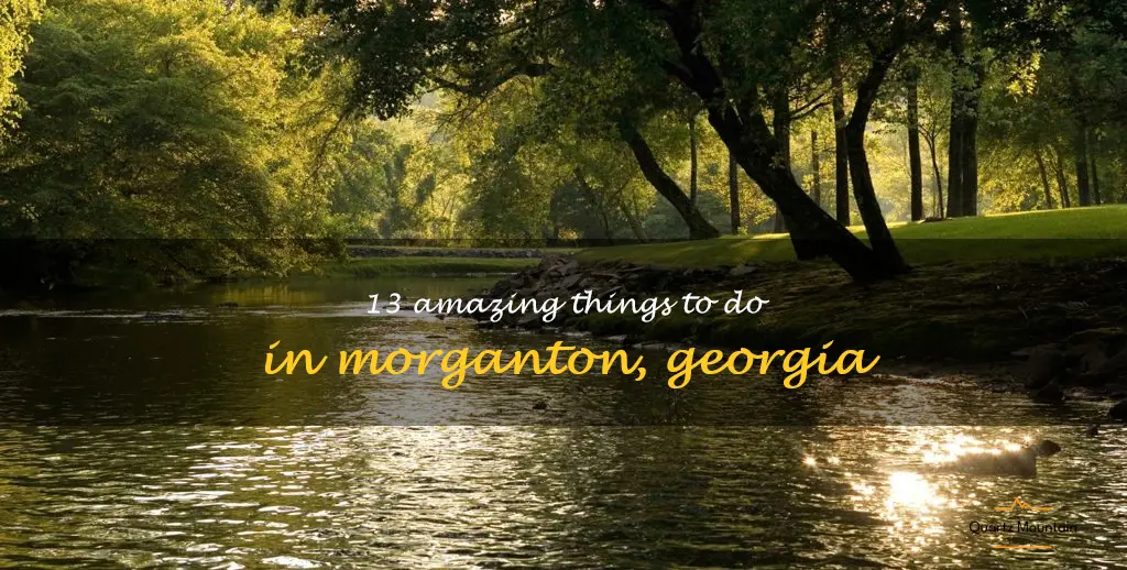 things to do in morganton georgia