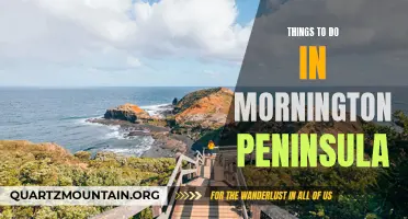 10 Great Activities to Enjoy in Mornington Peninsula