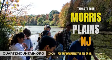 10 Fun and Exciting Things to Do in Morris Plains, NJ