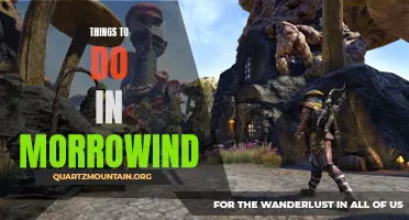 10 Amazing Things to Do in Morrowind