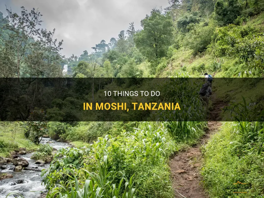 things to do in moshi tanzania