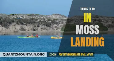 Top 10 Things to Do in Moss Landing: Exploring the Hidden Gem of Monterey Bay