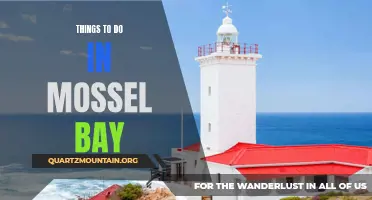 11 Amazing Things to Do in Mossel Bay