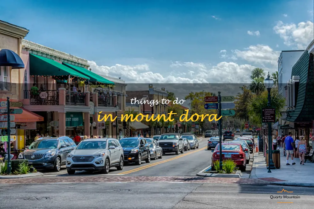 things to do in mount dora