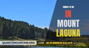 12 Must-Do Activities in Mount Laguna.