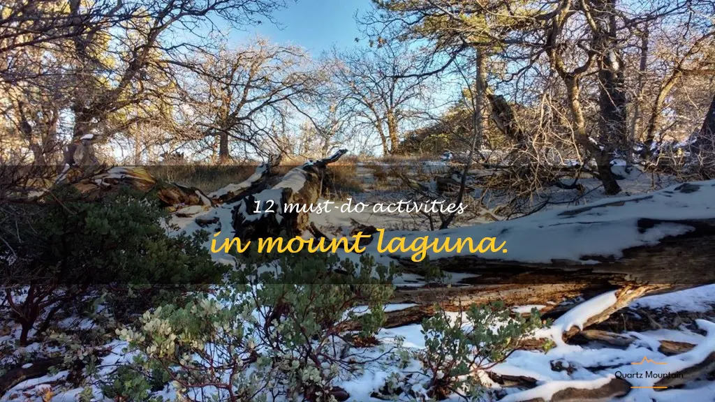 things to do in mount laguna