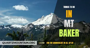 12 Best Activities to Enjoy in Mt Baker
