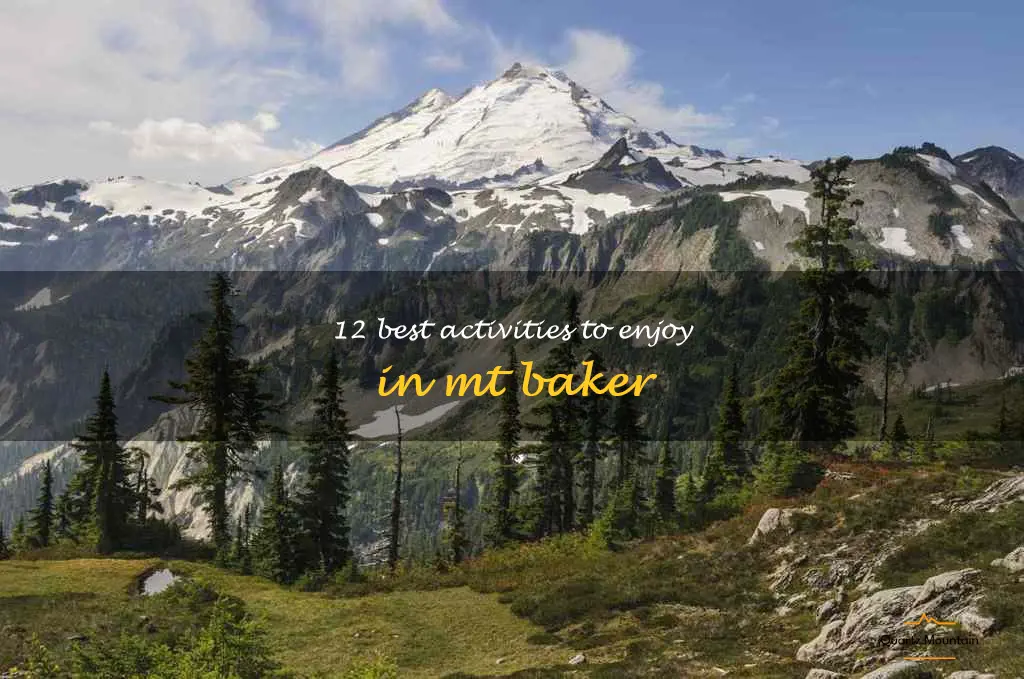 things to do in mt baker