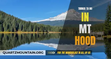 14 Fun Things to Do in Mt. Hood National Forest