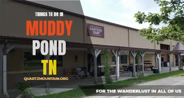 11 Fun Activities to Try in Muddy Pond, TN