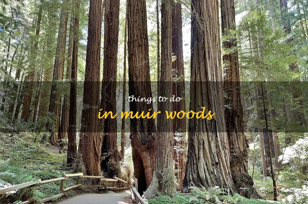 things to do in muir woods