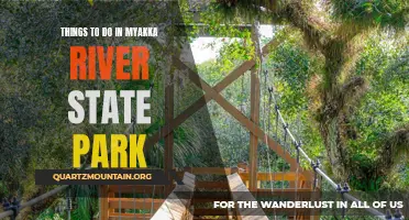 12 Fun Activities to Experience in Myakka River State Park
