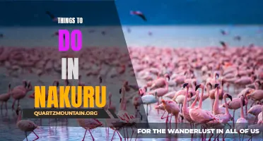 Exploring Nature's Beauty: 10 Must-Do Things in Nakuru