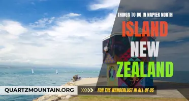 12 Must-Do Activities in Napier, North Island New Zealand