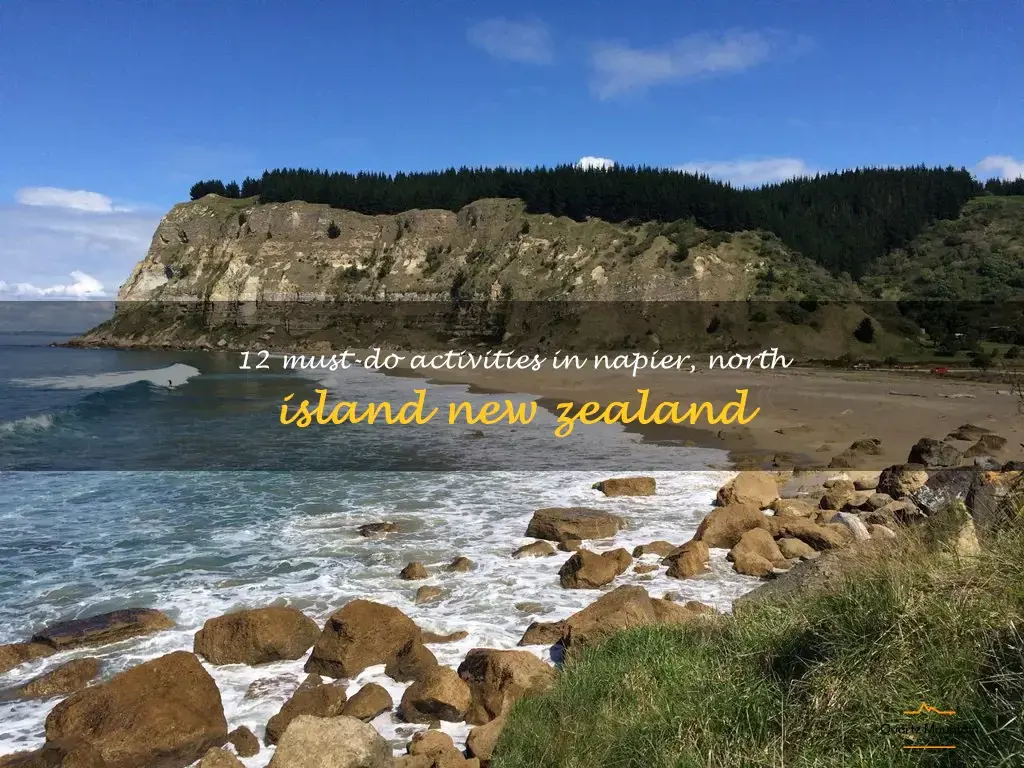 things to do in napier North Island New Zealand