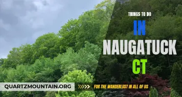 12 Fun Activities to Try in Naugatuck CT