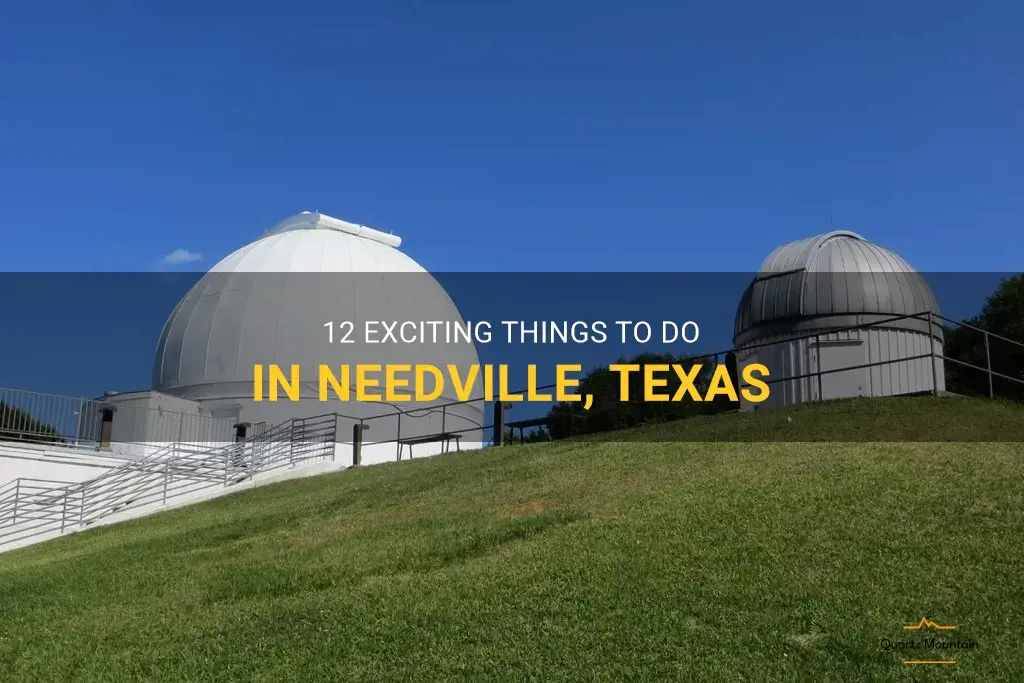 things to do in needville texas