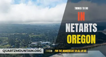 13 Must-Do Activities in Netarts, Oregon