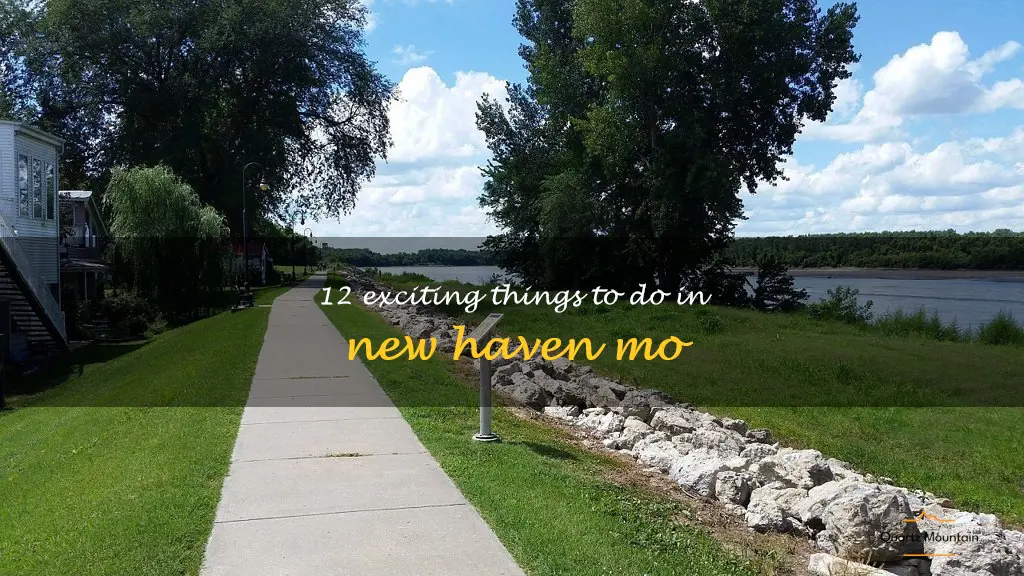things to do in new haven mo