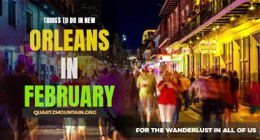 12 Fun Activities to Experience in New Orleans During February
